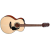 takamine_gln12e_natural_satin