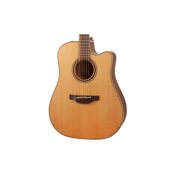 takamine_p3dc_2